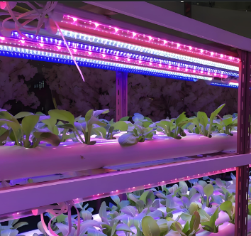 U蓝?:1植物生长灯管规格参数特点