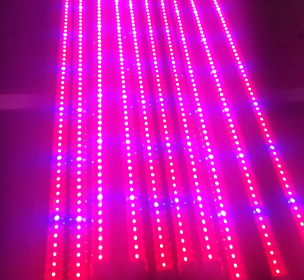 U蓝?:2植物生长灯管参数作用