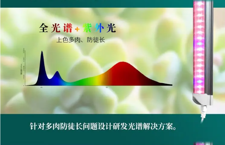 鍏ㄥ厜璋?绱綰?png