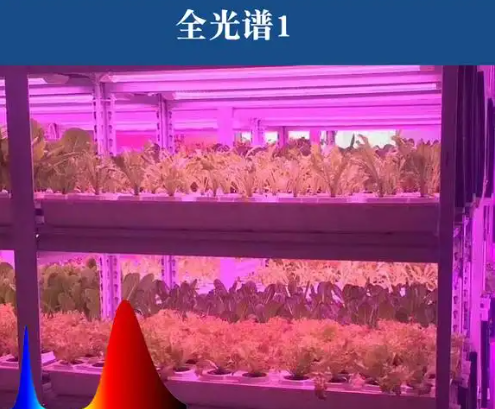 全光谱植物生长灯?png
