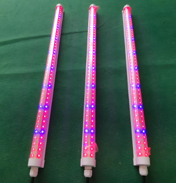 妞嶇墿鐢熼暱鐏綰㈣摑鍏?png