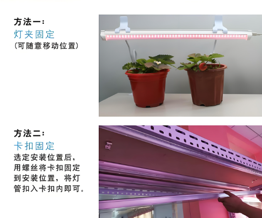 植物燈管使用方法.png