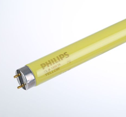 玻璃黃光燈管飛利浦.png